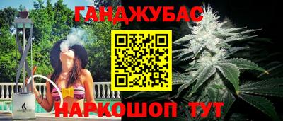 гашик Дубна
