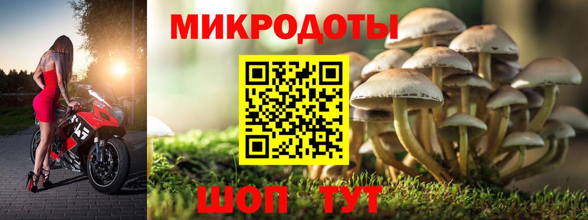 Бугуруслан  Псилоцибиновые грибы ЛСД  Псилоцибиновые грибы мухоморы  Вход с VPN 